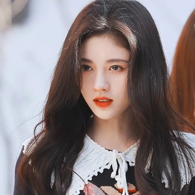 什么鸟日子